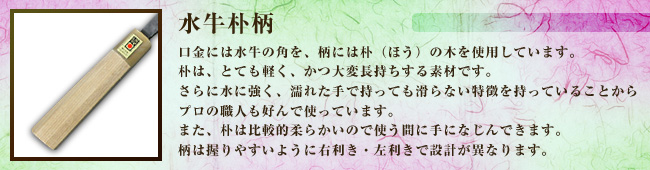 朴
