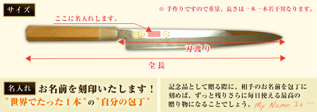 サイズ