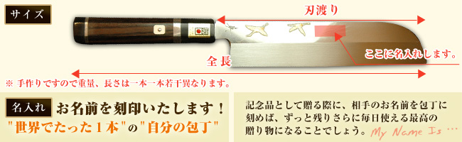 サイズ