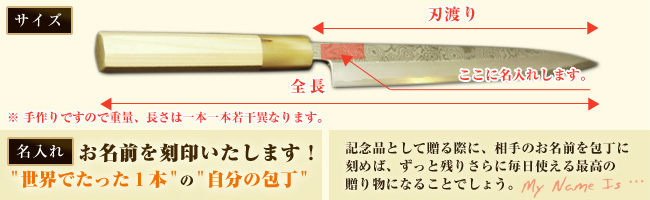 サイズ